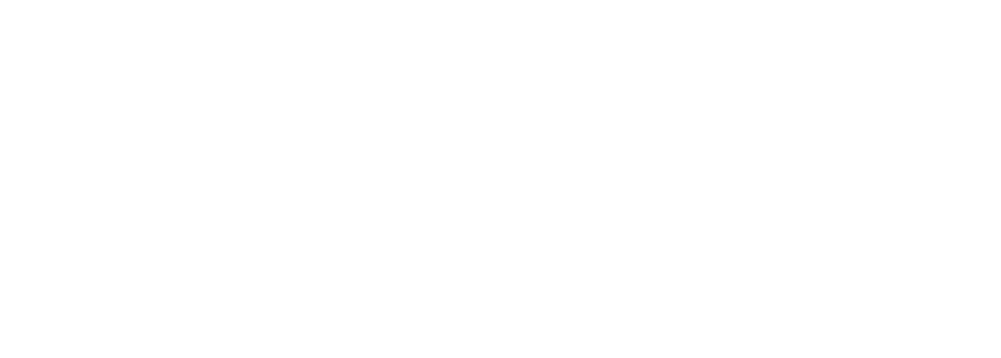 BRAVO-LOGO.png